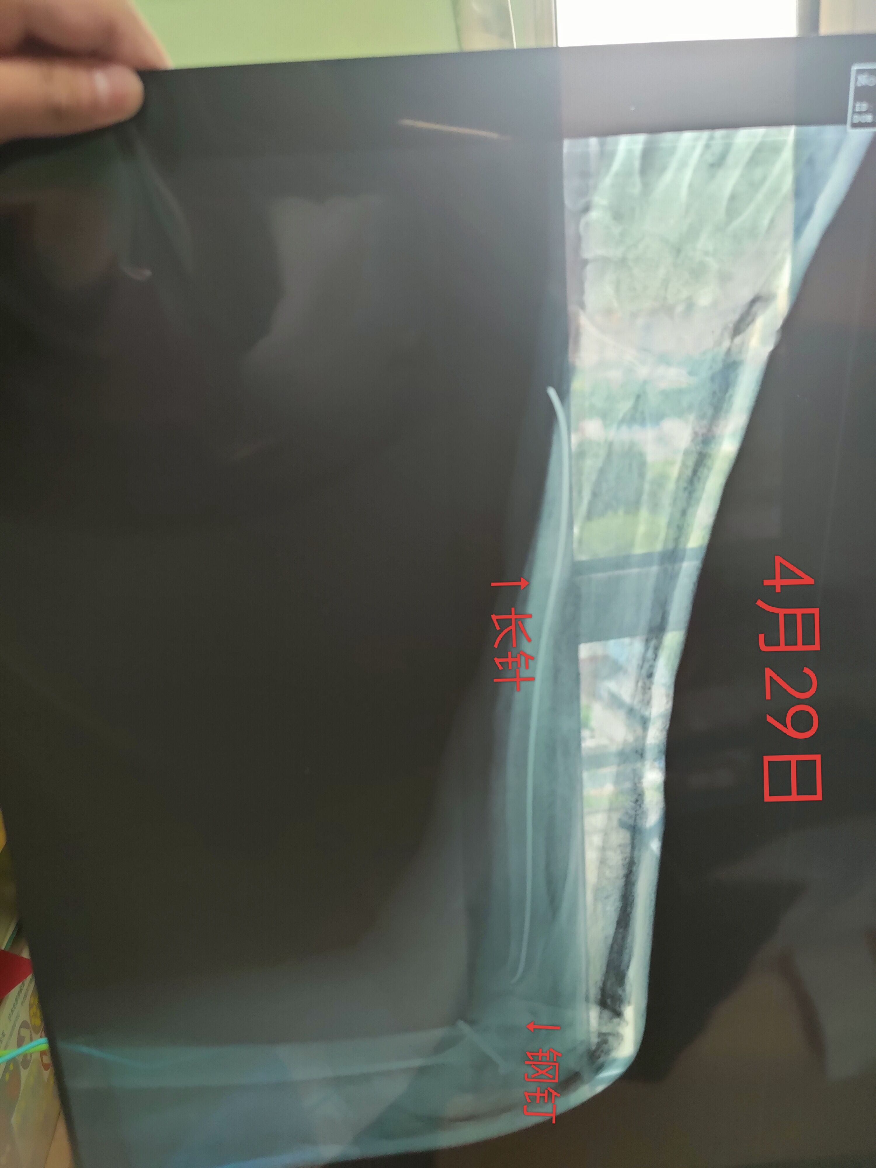 lsf的图，严禁盗用