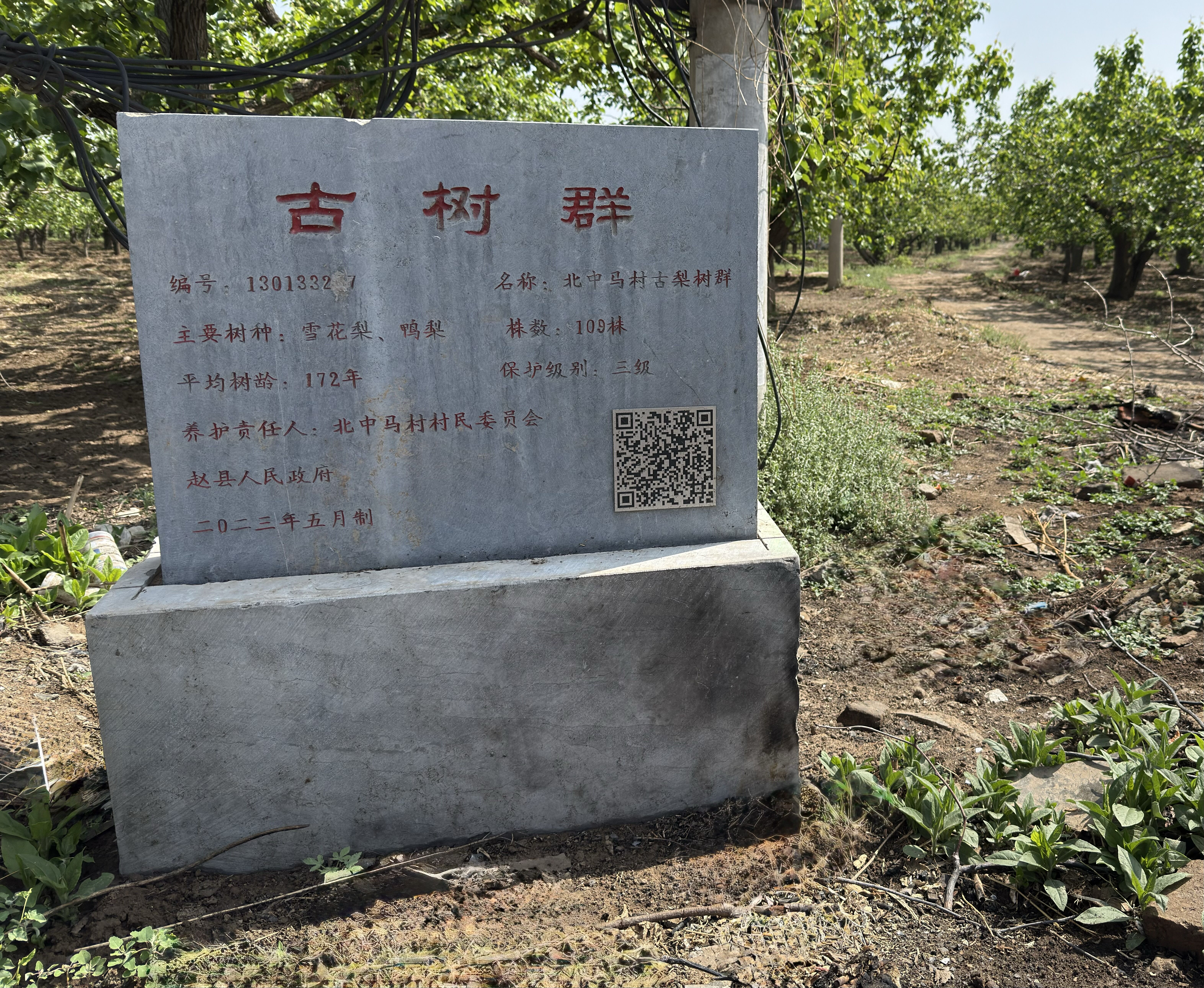 微信图片_20251022173245_113_13.jpg