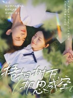 梧桐树下，相思成空（69集）游雅&刘家铭